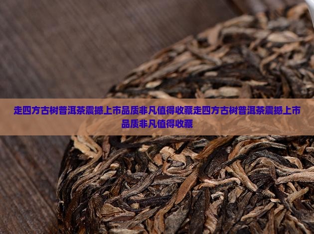 走四方古树普洱茶
