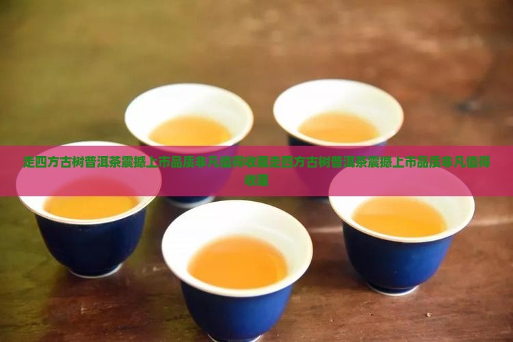走四方古树普洱茶