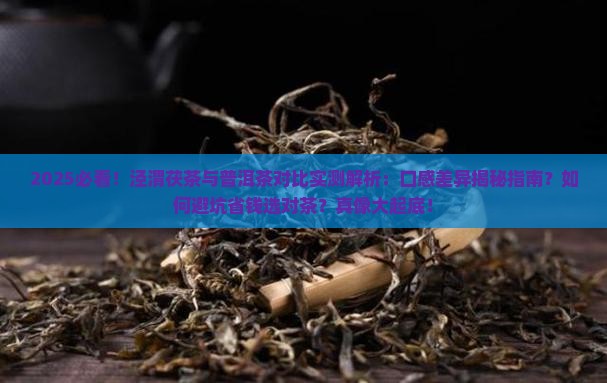 感觉泾渭茯茶没普洱茶好喝