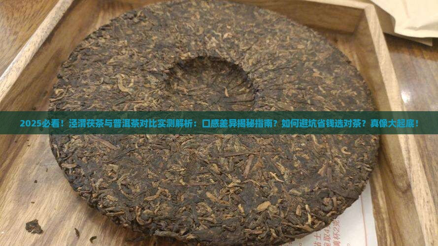 感觉泾渭茯茶没普洱茶好喝