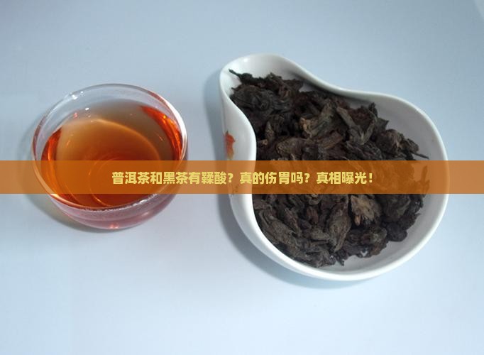 普洱茶和黑茶有鞣酸
