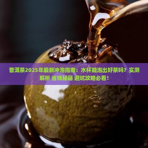 普洱茶可以在水杯里冲泡吗