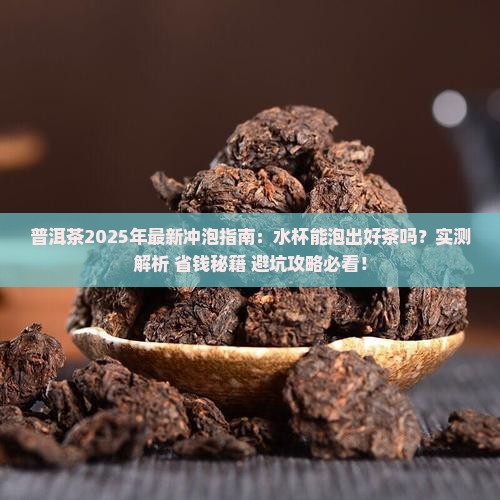 普洱茶可以在水杯里冲泡吗