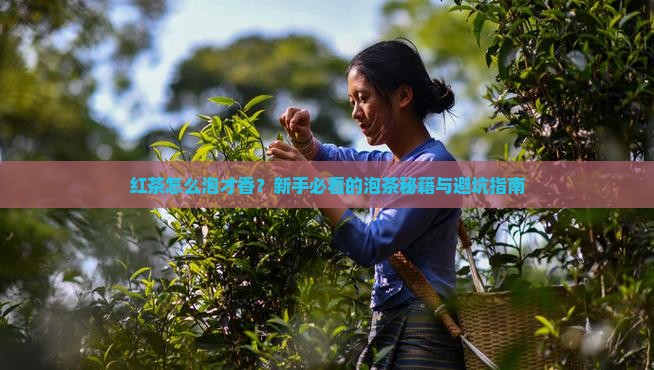 茶艺红茶泡茶的步骤及解说