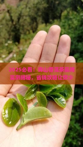 青山普洱茶品牌