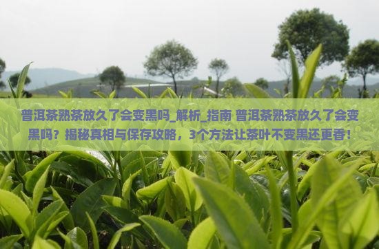 普洱茶熟茶放久了会变黑吗