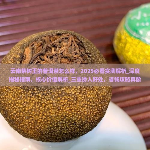 云南茶树王的普洱茶怎么样