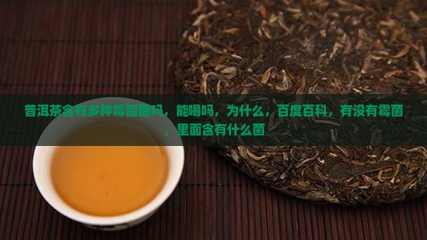 普洱茶含有多种霉菌菌吗