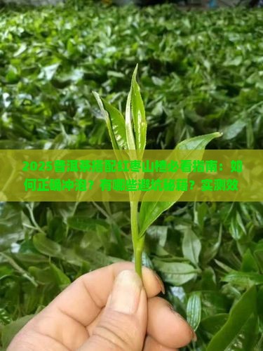普洱茶可以放红枣和山楂吗
