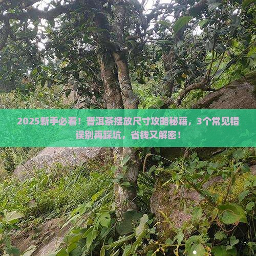 普洱茶摆放尺寸