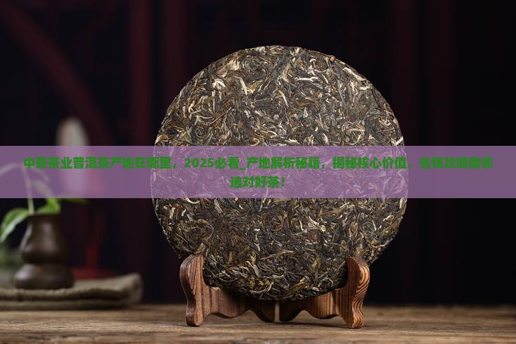 中茶茶业普洱茶产地在哪里