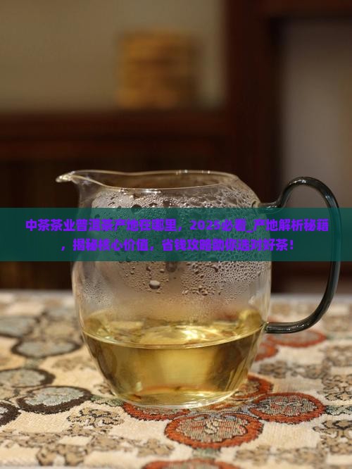 中茶茶业普洱茶产地在哪里