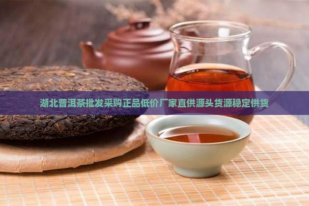 湖北普洱茶批发采购