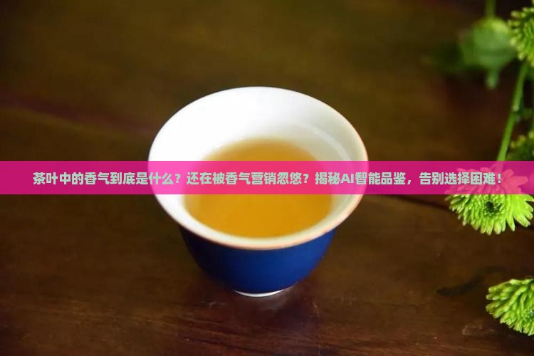 茶叶中的香气是什么