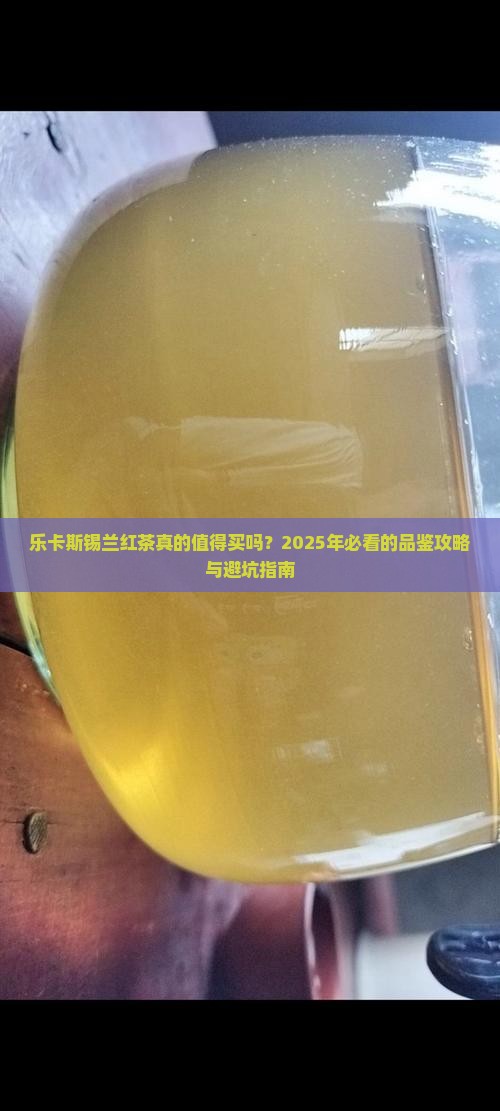 乐卡斯锡兰红茶怎么样
