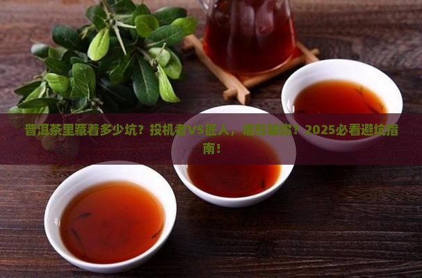 普洱茶投机者和匠人