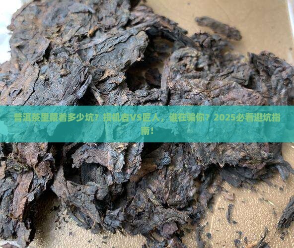 普洱茶投机者和匠人