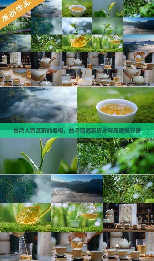台湾人普洱茶的寻祖