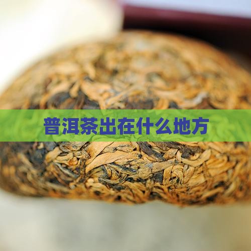 普洱茶出在什么地方