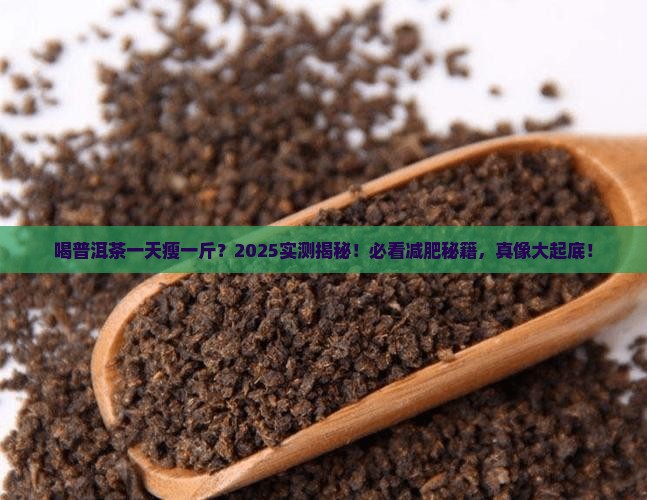 喝普洱茶一天瘦一斤