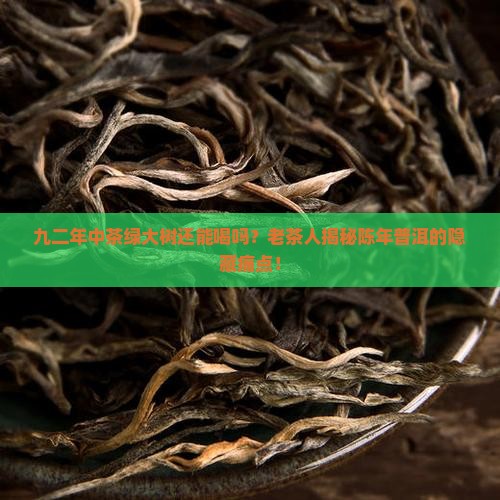 九二年中茶绿大树