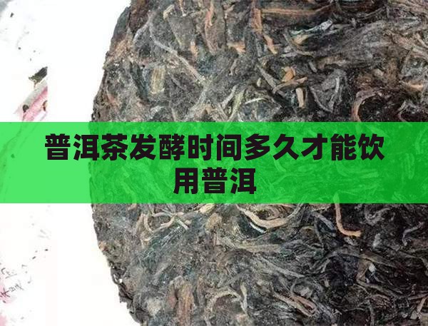 普洱茶发酵多久才能吃