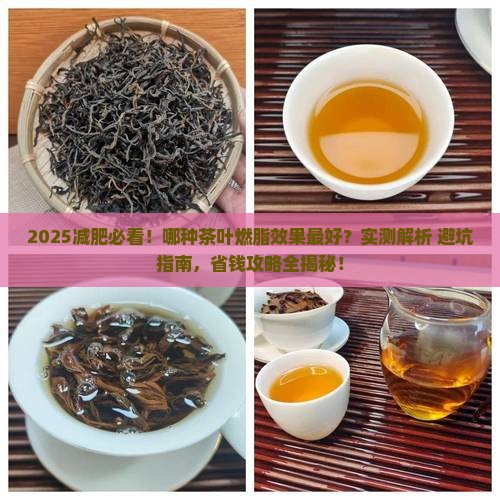 减肥用什么茶叶可以