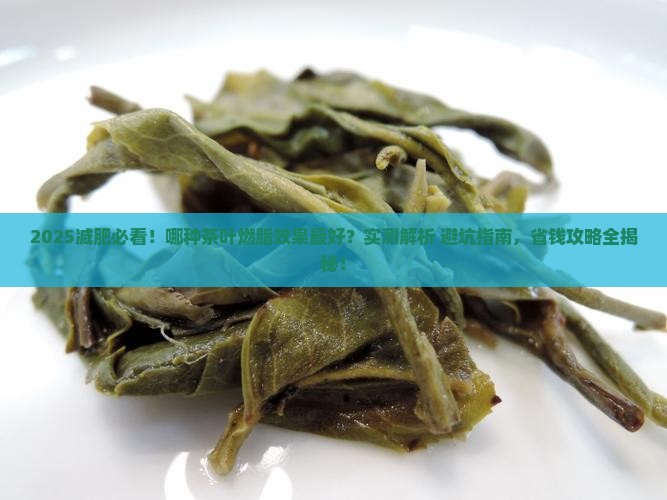 减肥用什么茶叶可以