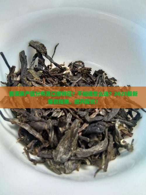 普洱茶产区分布及口感特征