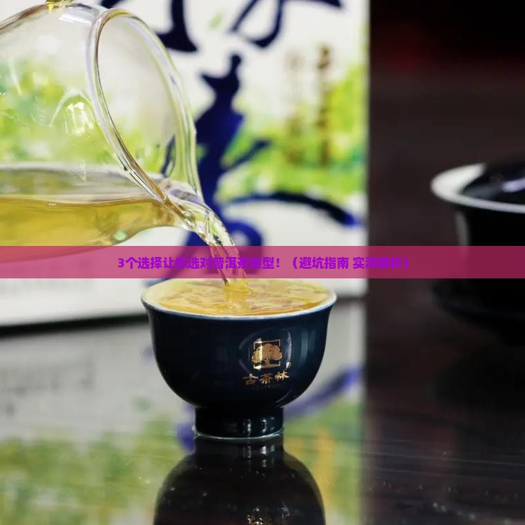 普洱茶适合什么茶型