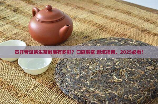 贺开普洱茶生茶的口感