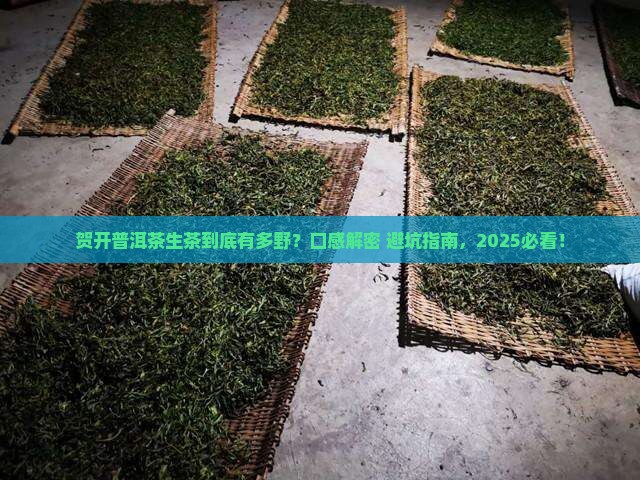 贺开普洱茶生茶的口感