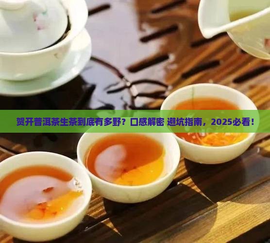 贺开普洱茶生茶的口感