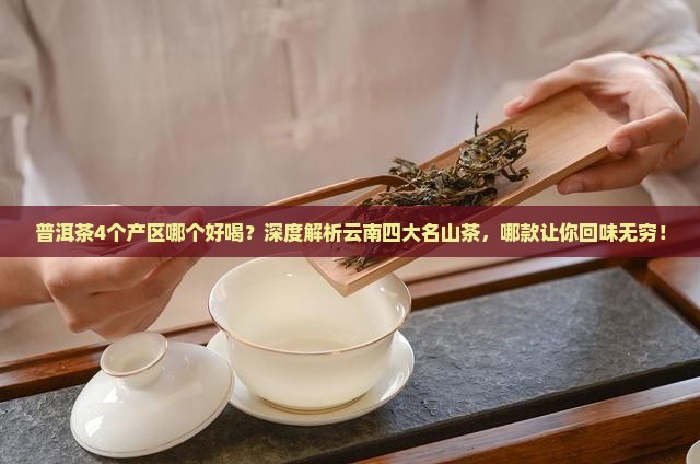 普洱茶4个产区哪个好喝