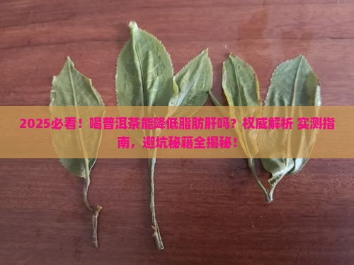 喝普洱茶能降低脂肪肝吗