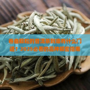 卷曲颗粒的普洱茶的品种