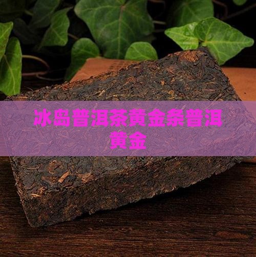 云南普洱冰岛黄金条茶