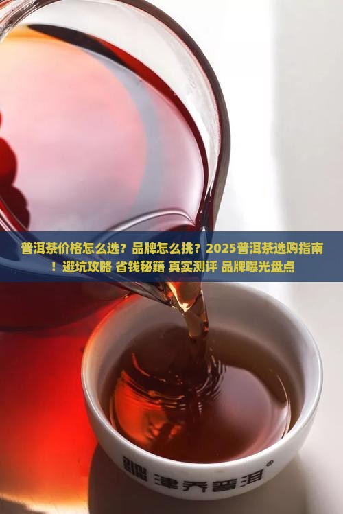 普洱茶价格及品牌