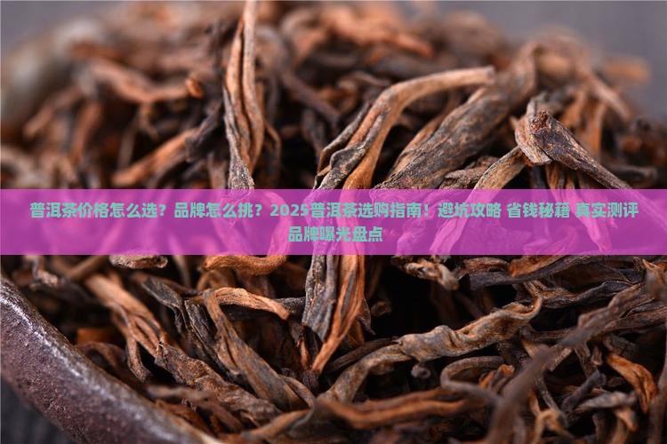 普洱茶价格及品牌