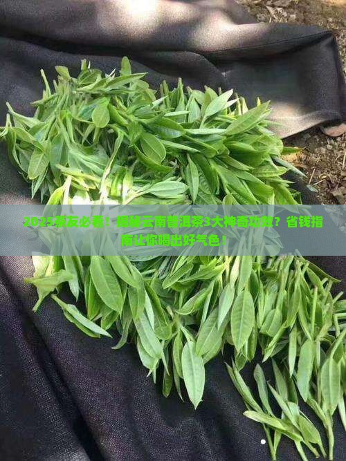 浅谈云南普洱茶功效
