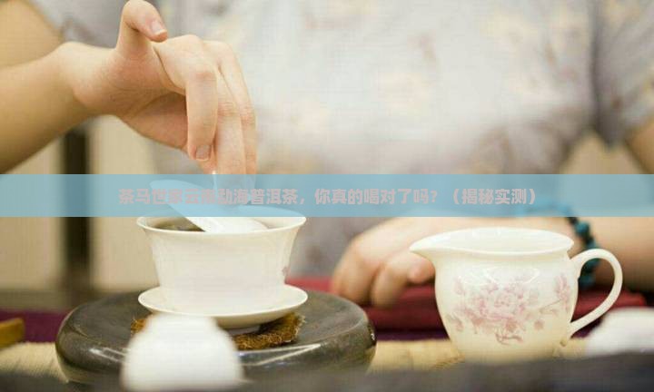 茶马世家云南勐海普洱茶