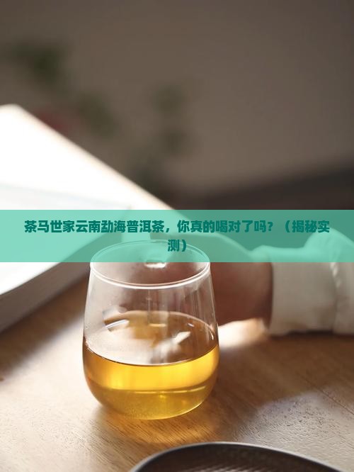 茶马世家云南勐海普洱茶