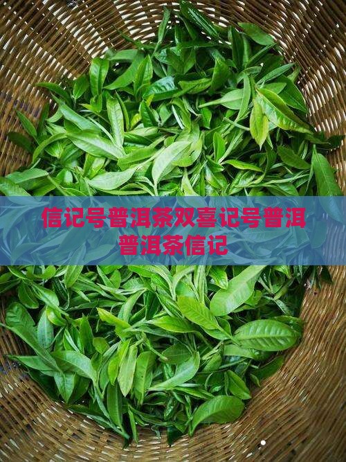 信记号普洱茶双喜