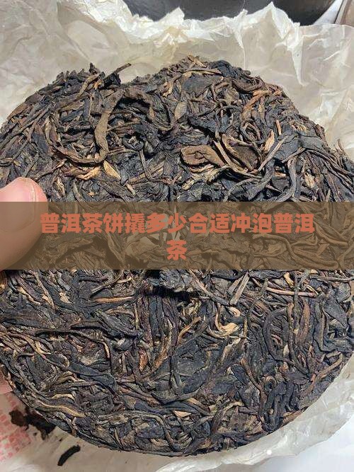 普洱茶饼撬多大冲泡