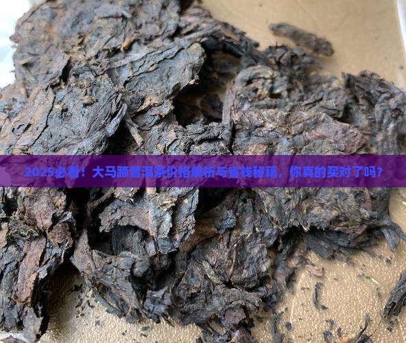 大马蹄普洱茶价格多少