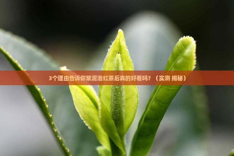 紫泥泡红茶后好看吗