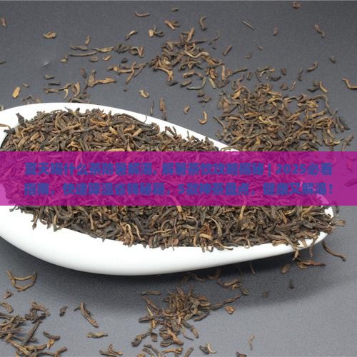 夏天喝什么茶防暑解渴
