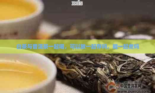 白茶与普洱茶一起喝