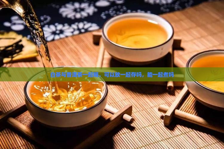 白茶与普洱茶一起喝
