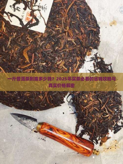 一斤普洱茶价格